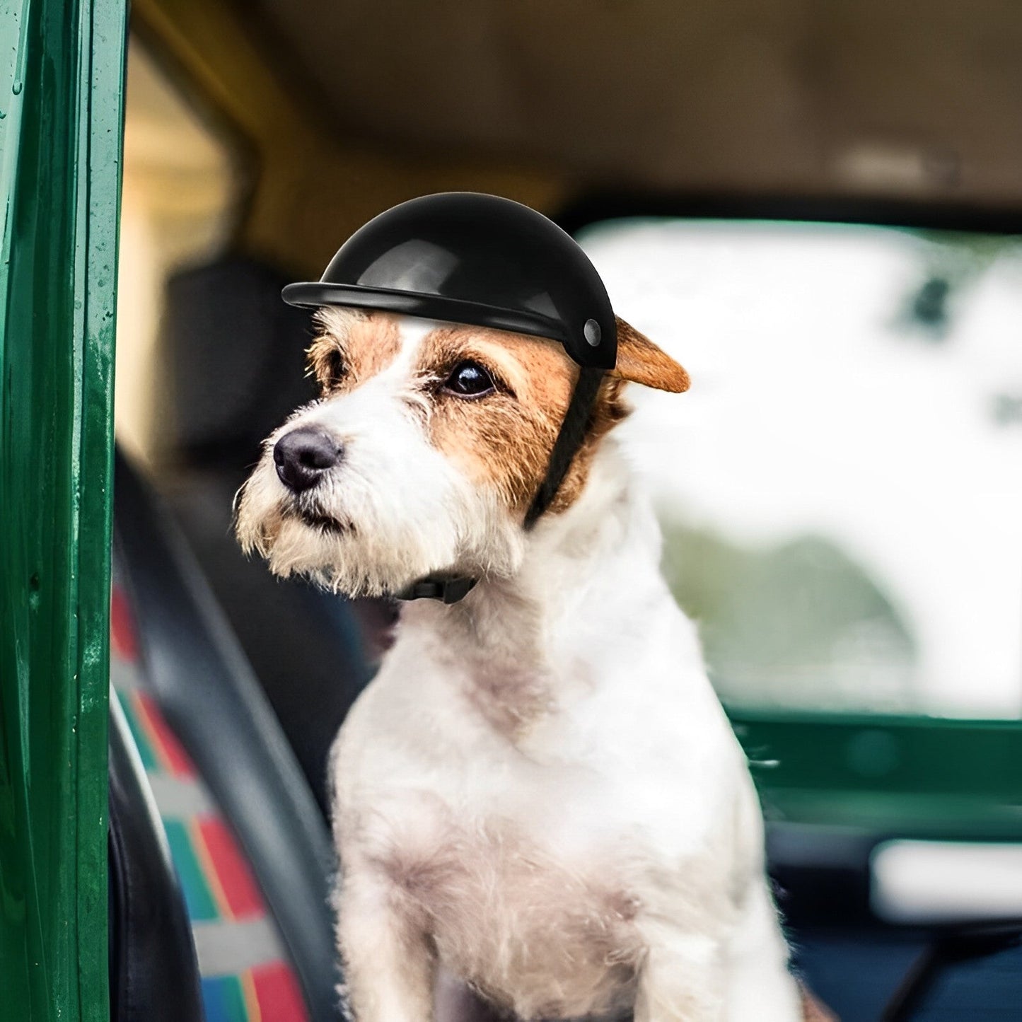 PAWGUARD - Beschermende hondenhelm met verstelbare band