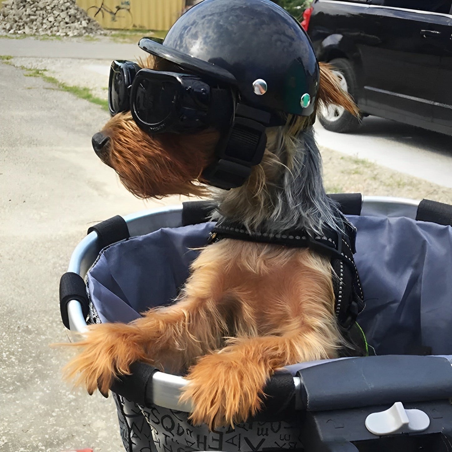 PAWGUARD - Beschermende hondenhelm met verstelbare band