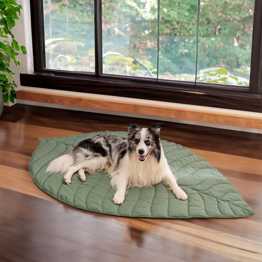 Comfortabel hondenharnas met ademend bladvormig design – LeafStride ComfortHarness