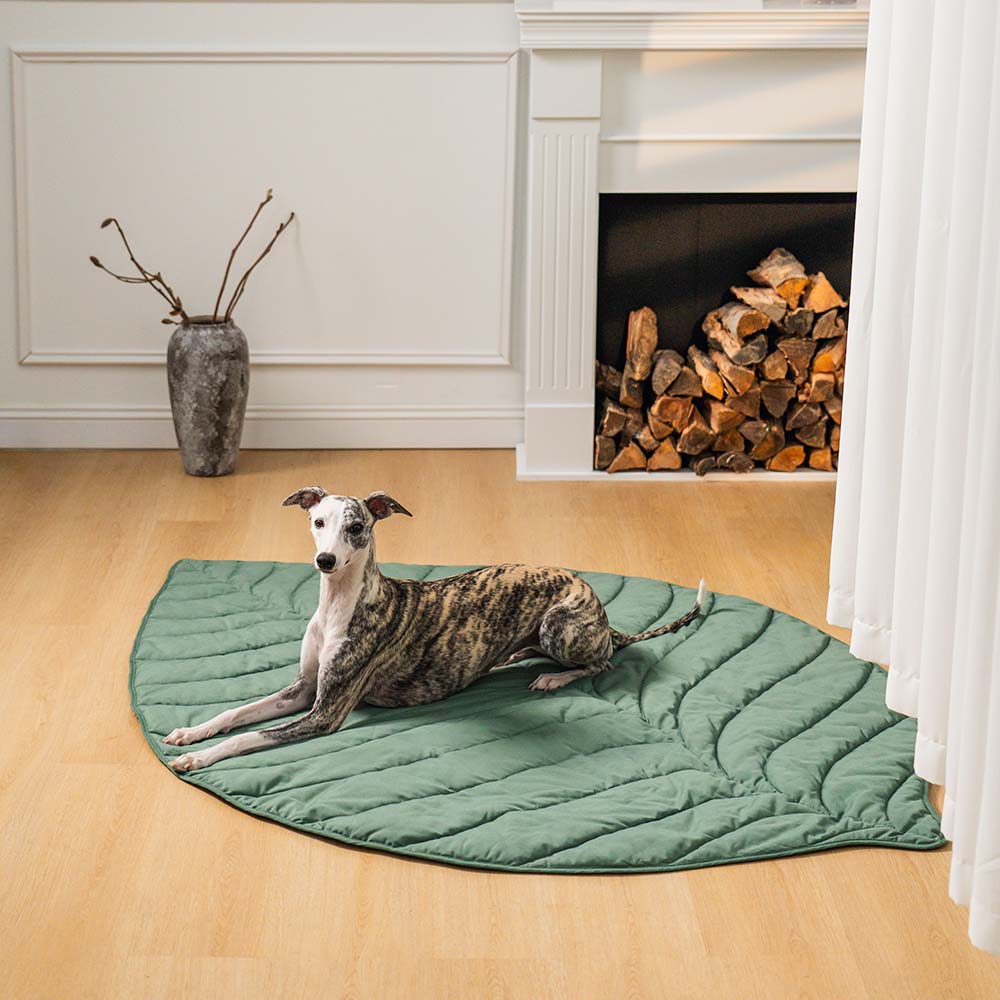 Comfortabel hondenharnas met ademend bladvormig design – LeafStride ComfortHarness