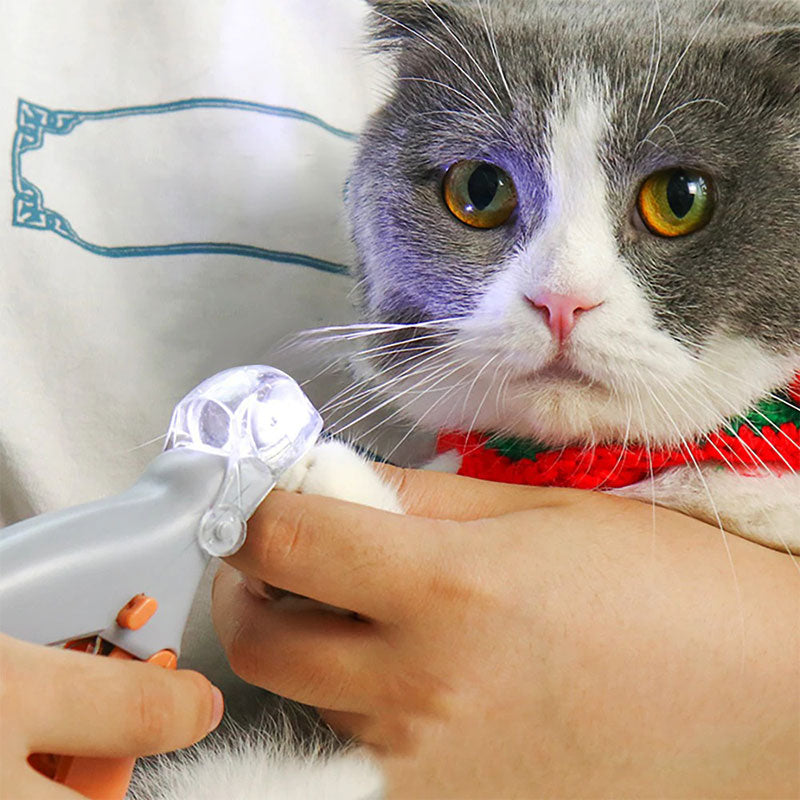 PAWPERFECT - Beste nagelknipper voor honden met snelheidsensoren