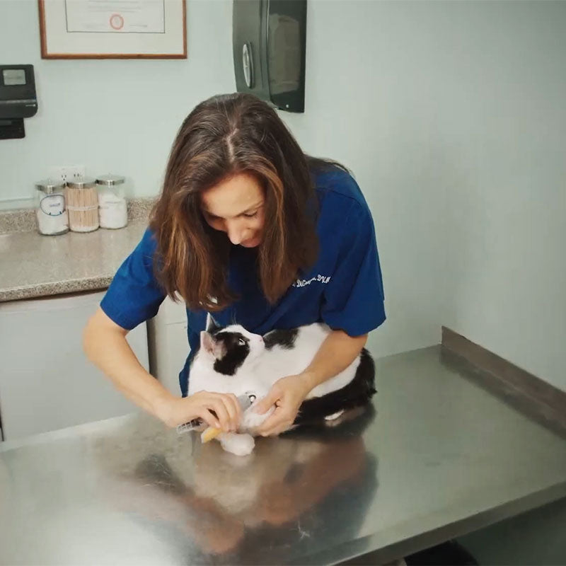 PAWPERFECT - Beste nagelknipper voor honden met snelheidsensoren