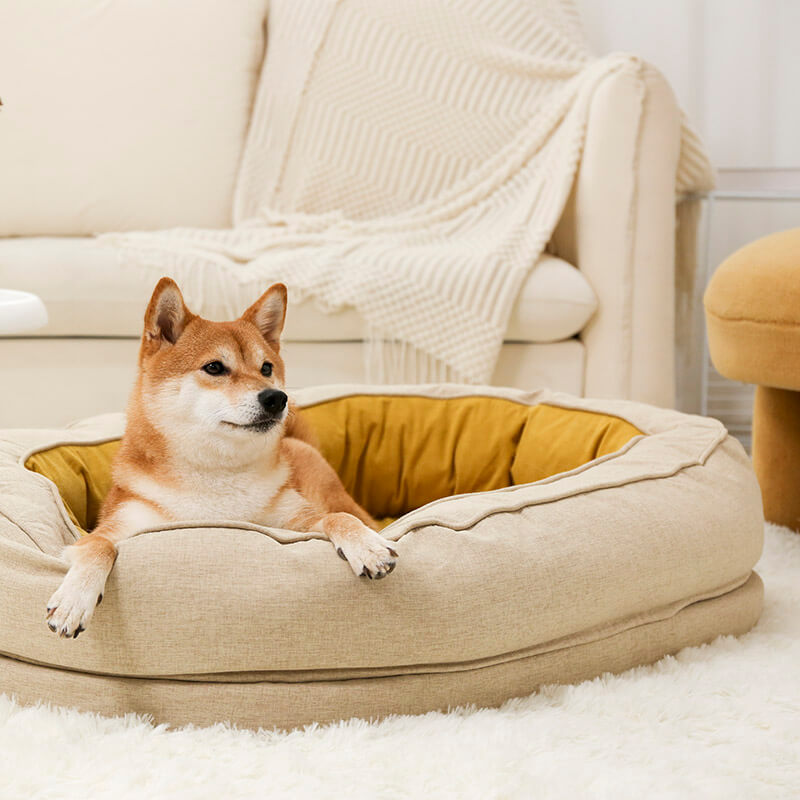 Hondenpoot reiniger met zachte siliconen borstels – PawPure CleanCup