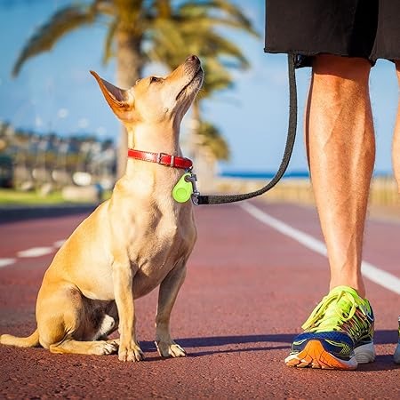 TRACKSAFE - GPS huisdiertracker met Bluetooth lokalisatiefunctie
