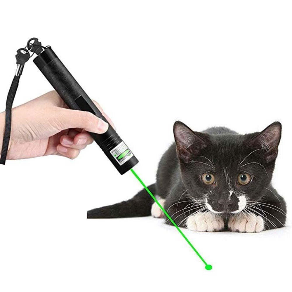 LASERPRO 303 - High-performance laserpointer