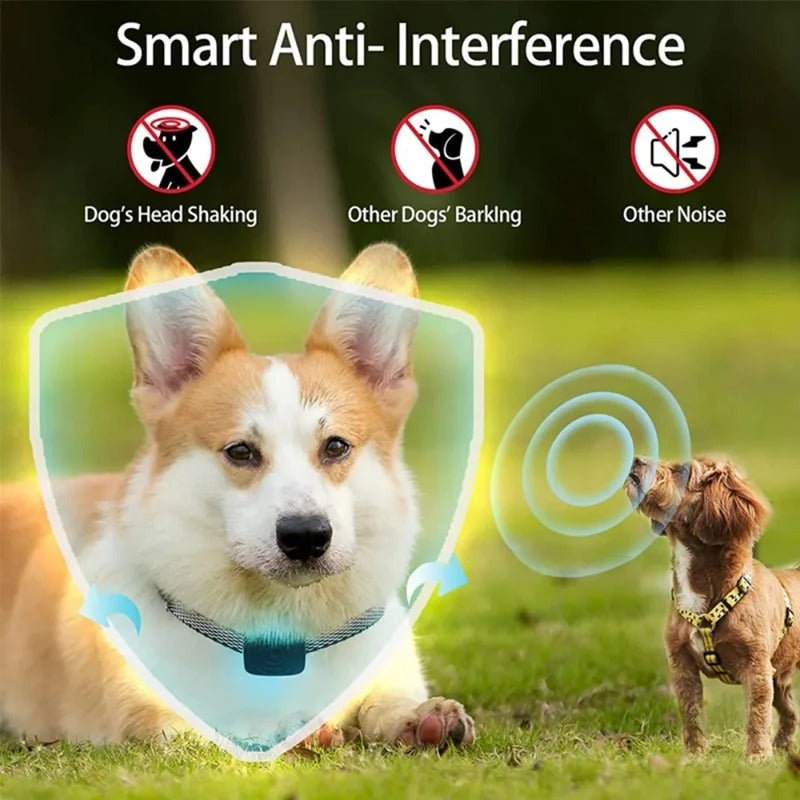 QUIETBARK - Anti-blaf halsband voor kleine honden