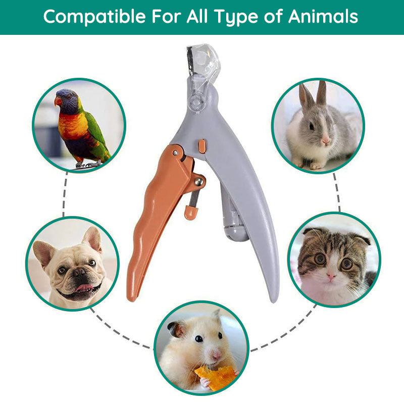 PAWPERFECT - Beste nagelknipper voor honden met snelheidsensoren