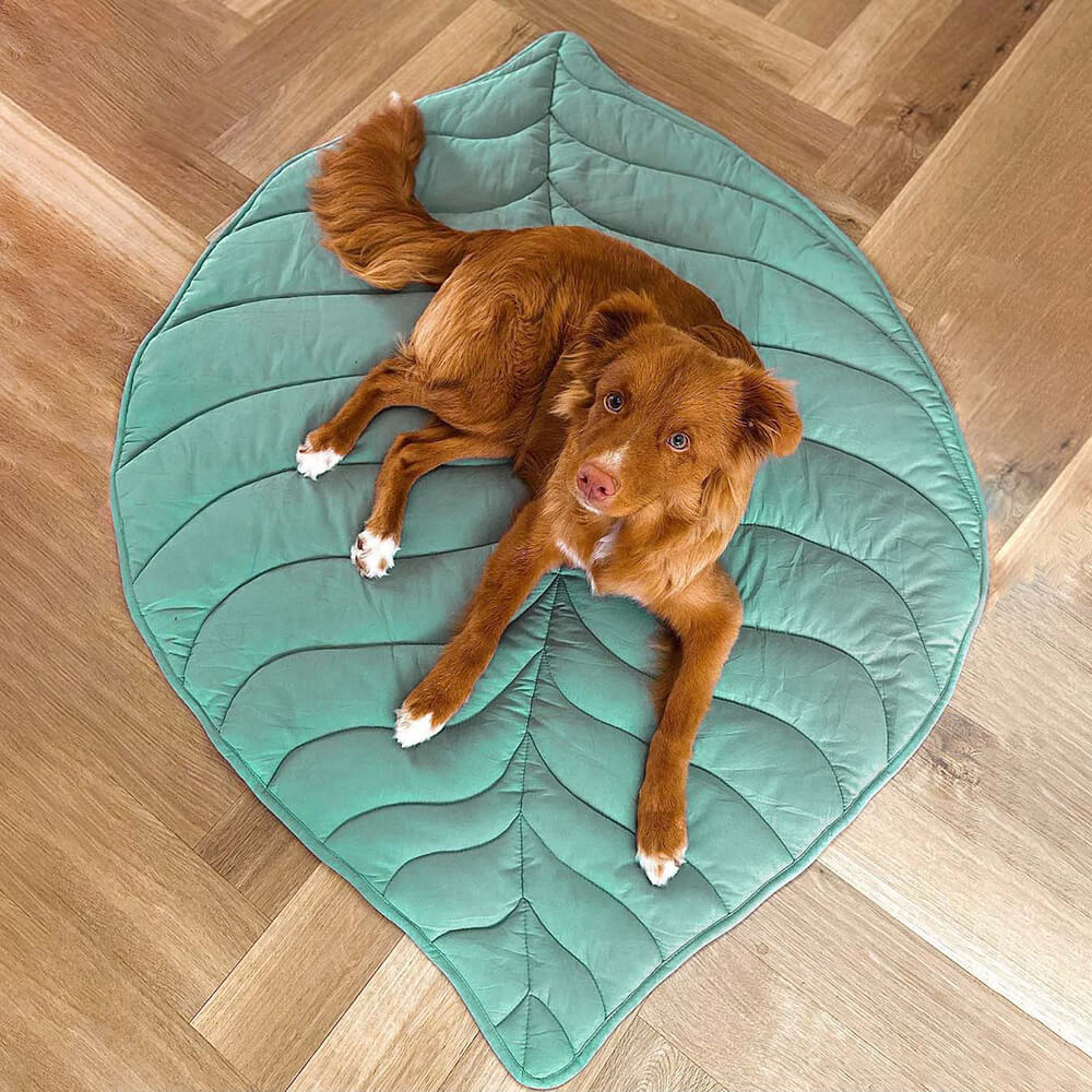 Comfortabel hondenharnas met ademend bladvormig design – LeafStride ComfortHarness