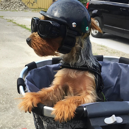 PAWGUARD - Beschermende hondenhelm met verstelbare band