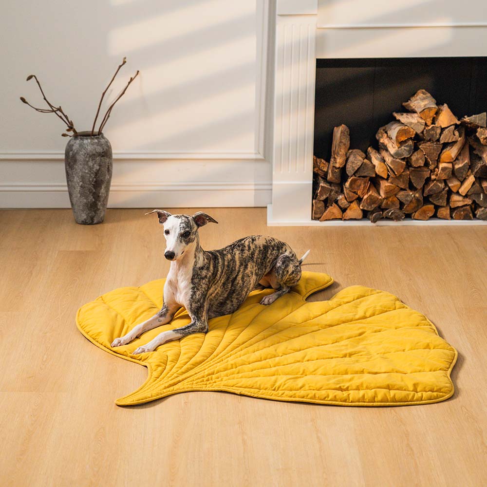 Comfortabel hondenharnas met ademend bladvormig design – LeafStride ComfortHarness