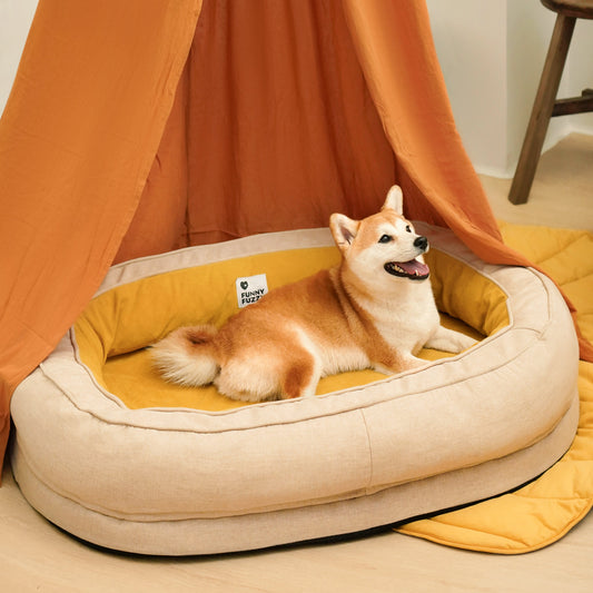 Hondenpoot reiniger met zachte siliconen borstels – PawPure CleanCup