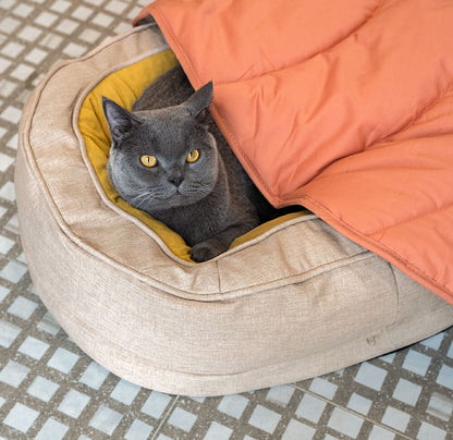 Comfortabel hondenharnas met ademend bladvormig design – LeafStride ComfortHarness