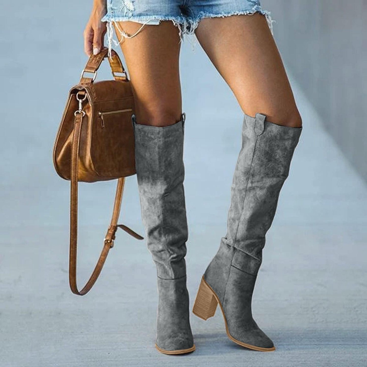 Kniehoge Laarzen - Vrouwen - Grijs Suede - Kniehoge - Nova
