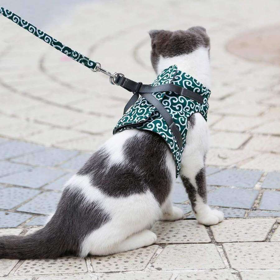SECUREKITTY - Veiligheidsharnasset voor katten