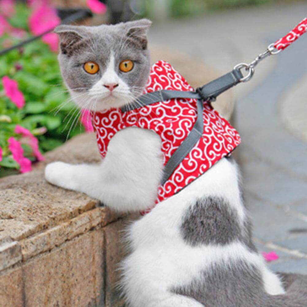 SECUREKITTY - Veiligheidsharnasset voor katten