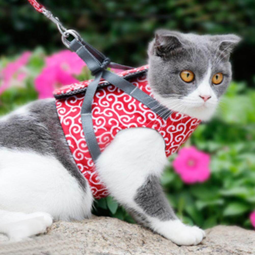 SECUREKITTY - Veiligheidsharnasset voor katten