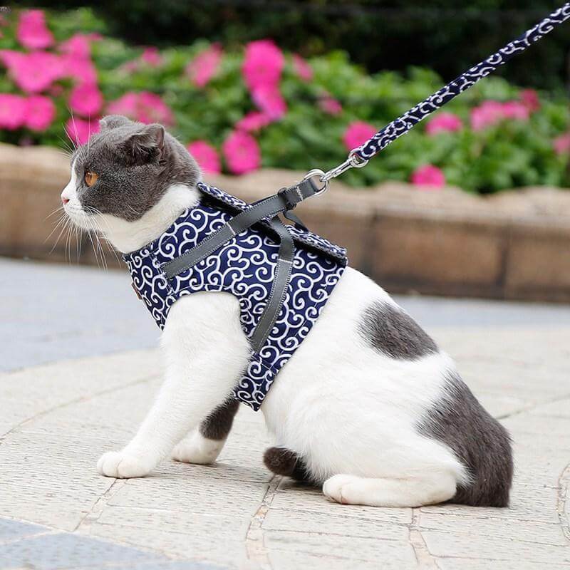 SECUREKITTY - Veiligheidsharnasset voor katten
