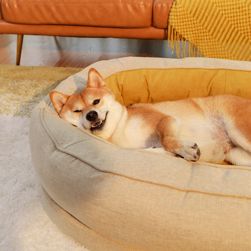 Hondenpoot reiniger met zachte siliconen borstels – PawPure CleanCup