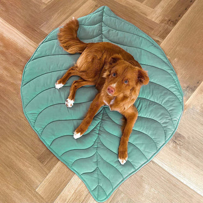 Comfortabel hondenharnas met ademend bladvormig design – LeafStride ComfortHarness